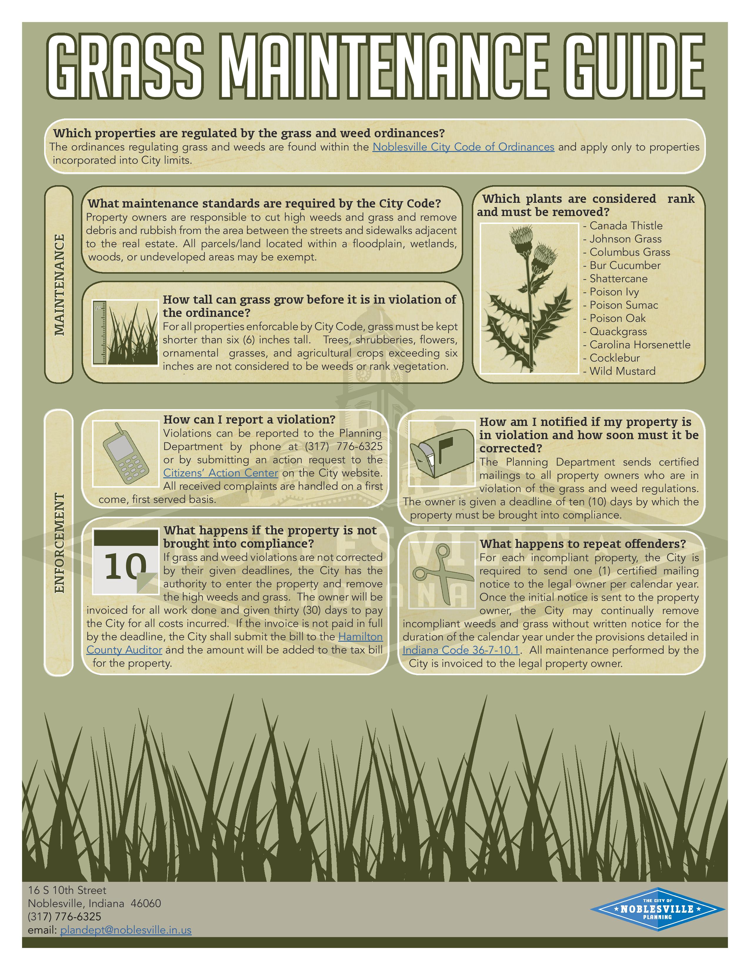 Grass Maintenance Guide